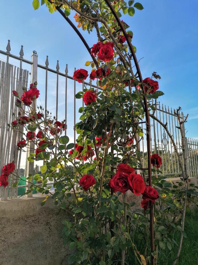 La Casa Di Pitti Otel Anacapri  Dış mekan fotoğraf