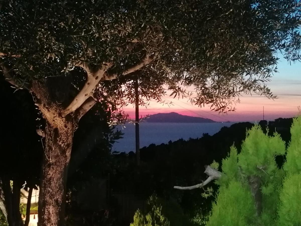 La Casa Di Pitti Otel Anacapri  Dış mekan fotoğraf