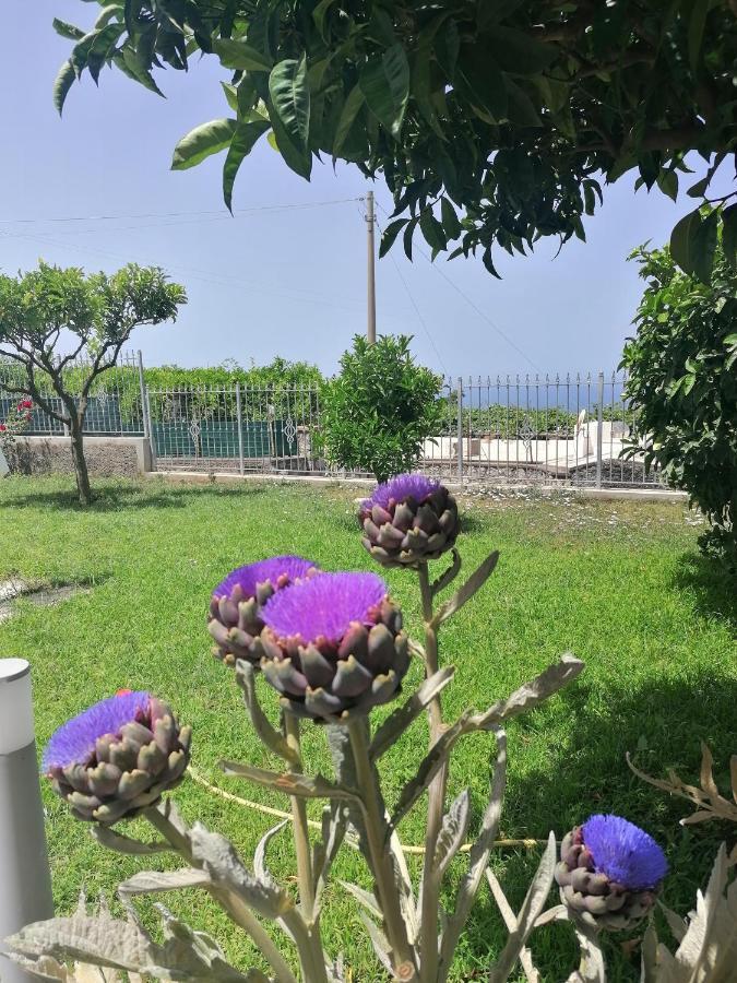 La Casa Di Pitti Otel Anacapri  Dış mekan fotoğraf