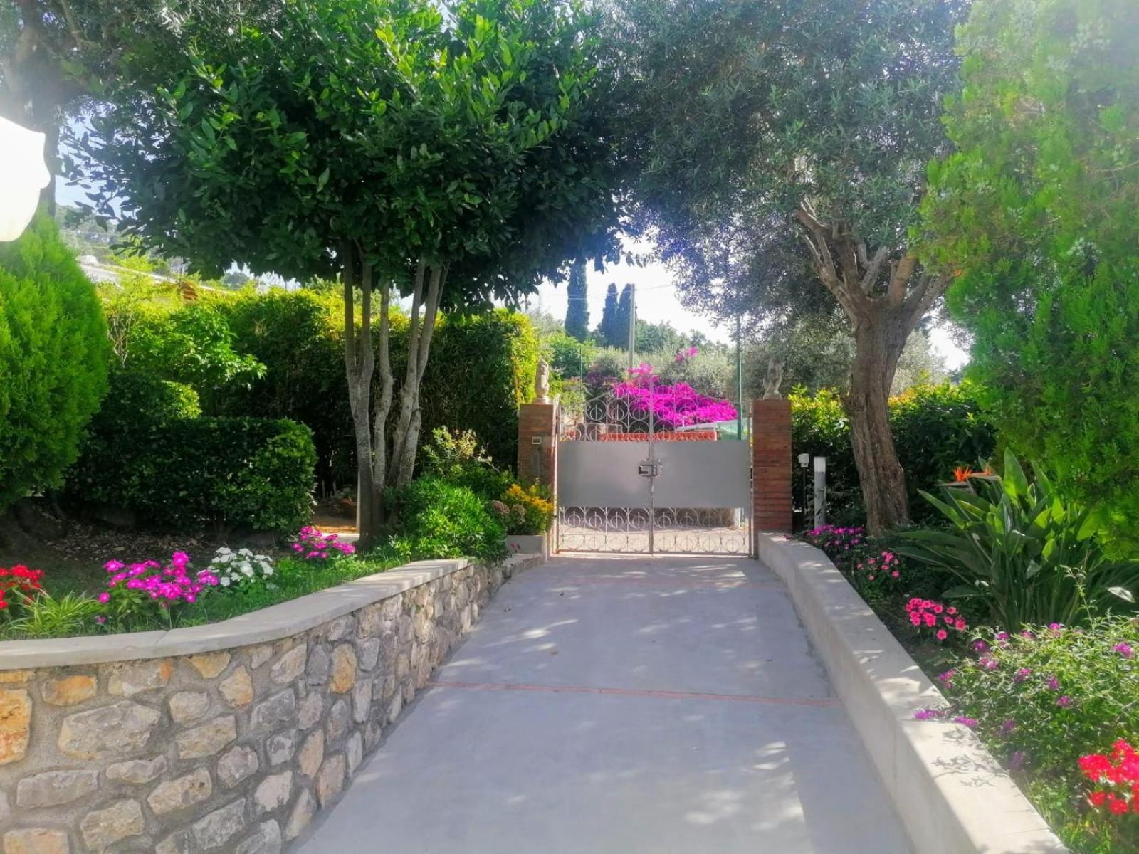 La Casa Di Pitti Otel Anacapri  Dış mekan fotoğraf